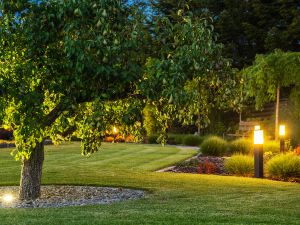 Energy-Efficient Outdoor Lighting That Lasts Decades